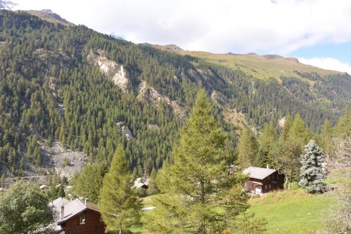 Chalet Singlinaz Zinal Esterno foto