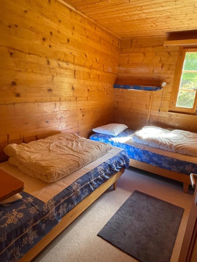 Chalet Singlinaz Zinal Esterno foto